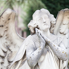 Image showing Old Cemetery statue