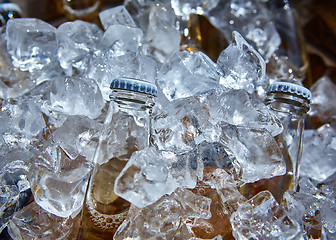 Image showing Bottle of beer is in ice