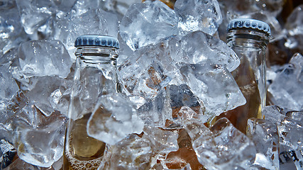 Image showing Bottle of beer is in ice