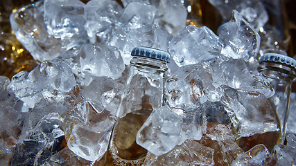 Image showing Bottle of beer is in ice