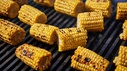 Image showing Organic Grilled Corn