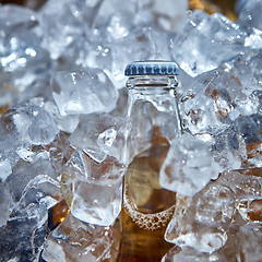 Image showing Bottle of beer is in ice