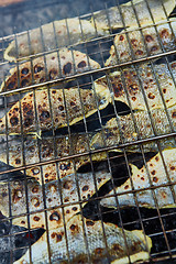 Image showing Grilling fish on campfire