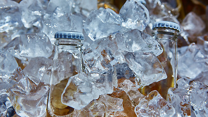 Image showing Bottle of beer is in ice