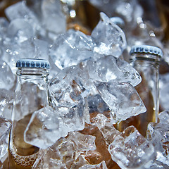 Image showing Bottle of beer is in ice