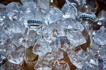 Image showing Bottle of beer is in ice