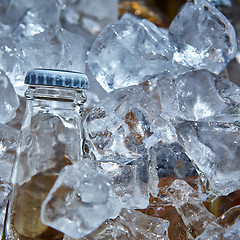 Image showing Bottle of beer is in ice