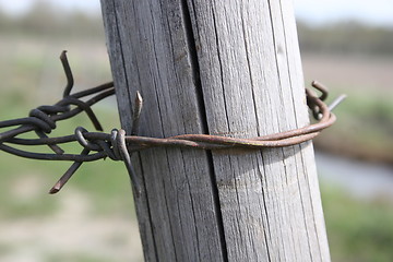 Image showing pole and barbwire