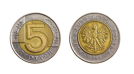 Image showing Polish Zloty
