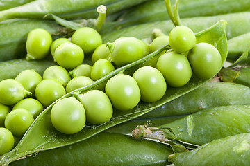 Image showing   green peas closeup