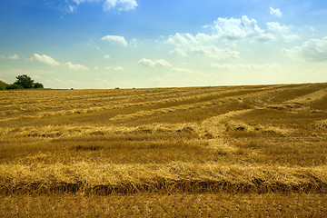 Image showing  harvest company