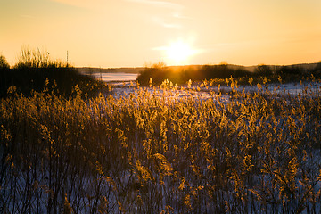 Image showing  time of sunset