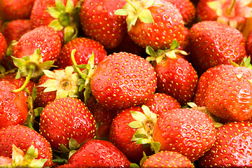 Image showing   strawberry 