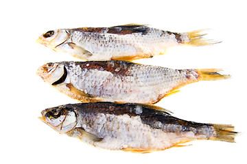 Image showing dried fish 