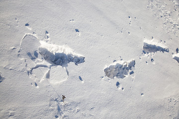 Image showing human footprints on sneu