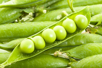 Image showing   green peas closeup