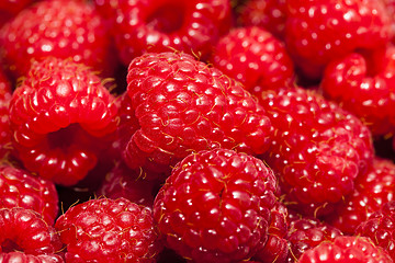 Image showing   red raspberries 