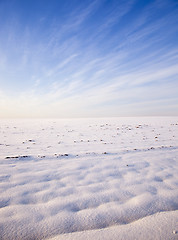 Image showing field in the winter  