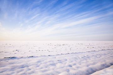 Image showing snow-covered field  