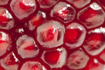 Image showing pomegranate 