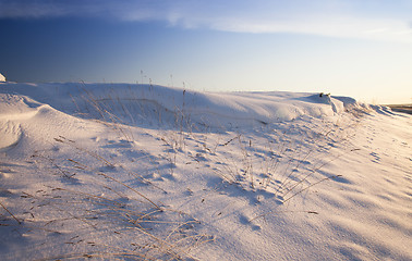 Image showing field in the winter  