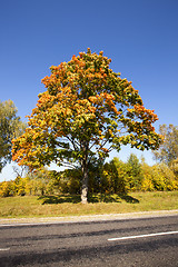 Image showing road. autumn 