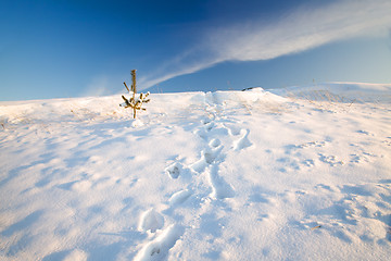 Image showing  winter time