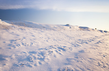 Image showing the snow-covered hill  