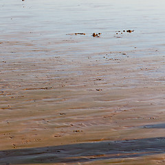 Image showing abstract in morocco  sea africa ocean wave and  bird