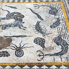 Image showing roof mosaic in the old city fish