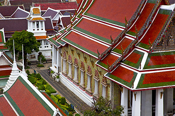 Image showing asia  thailand  in  bangkok sunny  garden