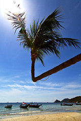 Image showing sun ligt asia in the   tao bay isle white  beach    rocks  boat 