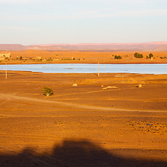 Image showing sunshine in the lake yellow  desert of morocco sand and     dune