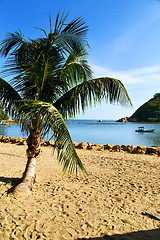 Image showing   asia   bay the  koh phangan  isle  