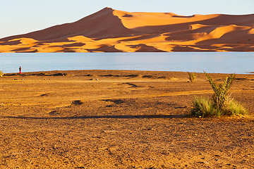 Image showing sunshine in the lake yellow  morocco     dune