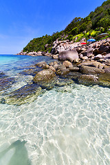 Image showing   asia   the bay kho tao  isle white  beach    parasol