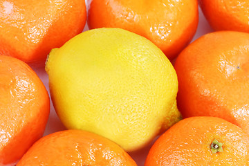 Image showing Orange and lemon