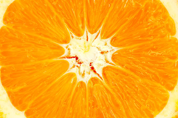 Image showing Detail from a Orange Slice