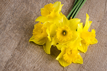 Image showing Jonquil flowers