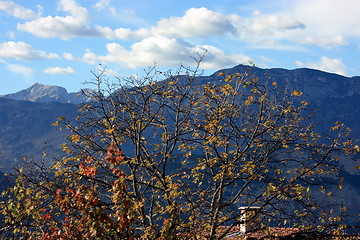 Image showing Alpine autumn