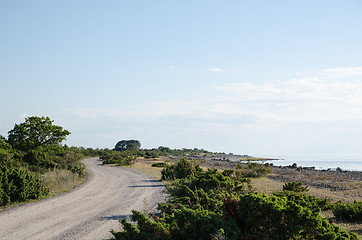 Image showing Winding gravel road