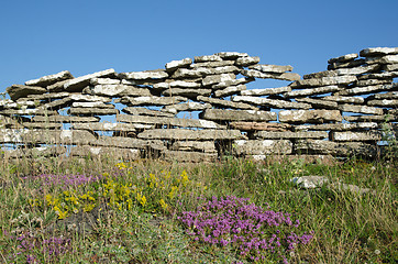 Image showing Summer flowers by an old stone wall