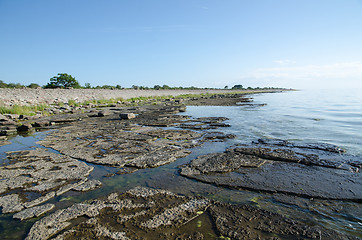 Image showing Flat rock limestone coast