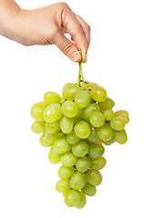 Image showing Hand holding a bunch of grapes