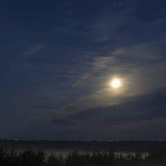 Image showing Night moon over forest