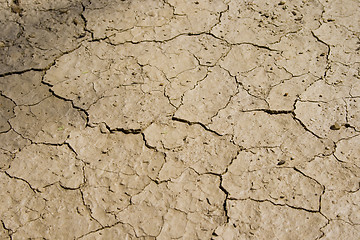 Image showing Cracked Mud Background