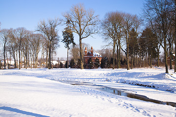 Image showing trees   in winter