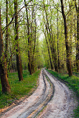 Image showing   rural road