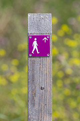 Image showing Public footpath sign