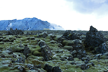 Image showing Resistant moss on volcanic rocks in Iceland